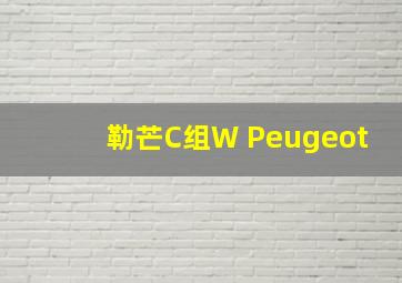 勒芒C组W Peugeot